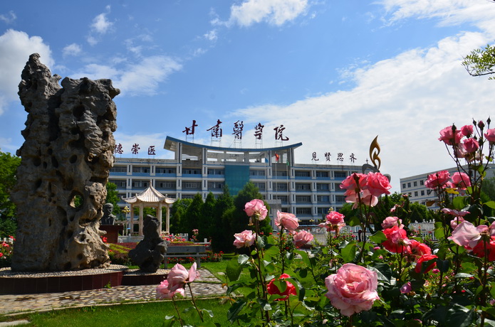 甘肃卫生职业学院